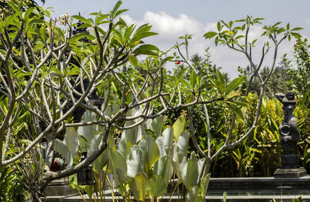 Graha Rusni Villa Ubud Rum bild